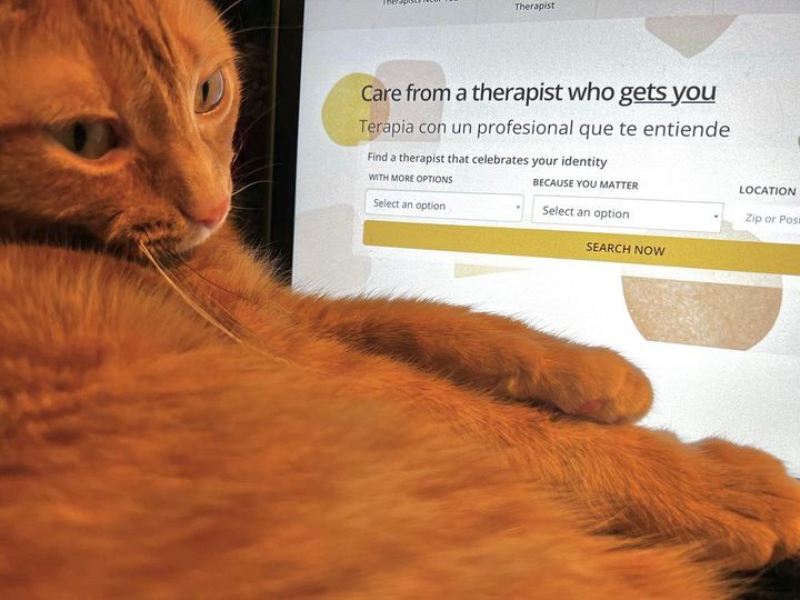 A little orange cat cuddles up with an iPad displaying search fields from the Inclusive Therapists directory