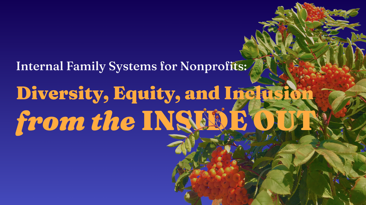 Using Internal Family Systems in nonprofit work — or, DEI from the inside out